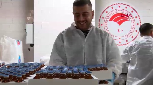 Tarım Aşı 1