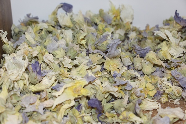 08951698 7B44 4099 B78F B1Dce9076Be1