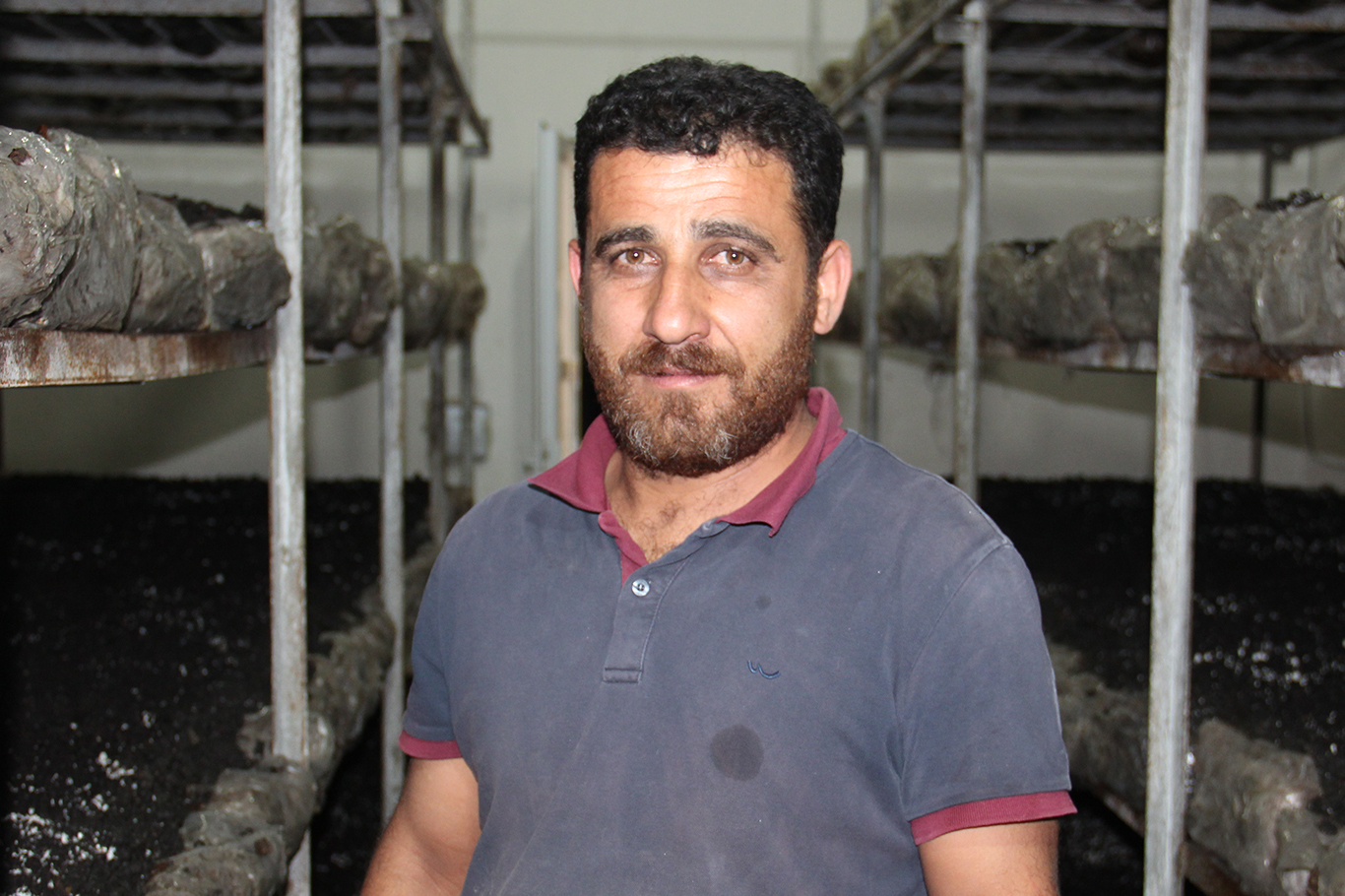 B8F07D18 D024 4382 86Aa 952C66A127Ee