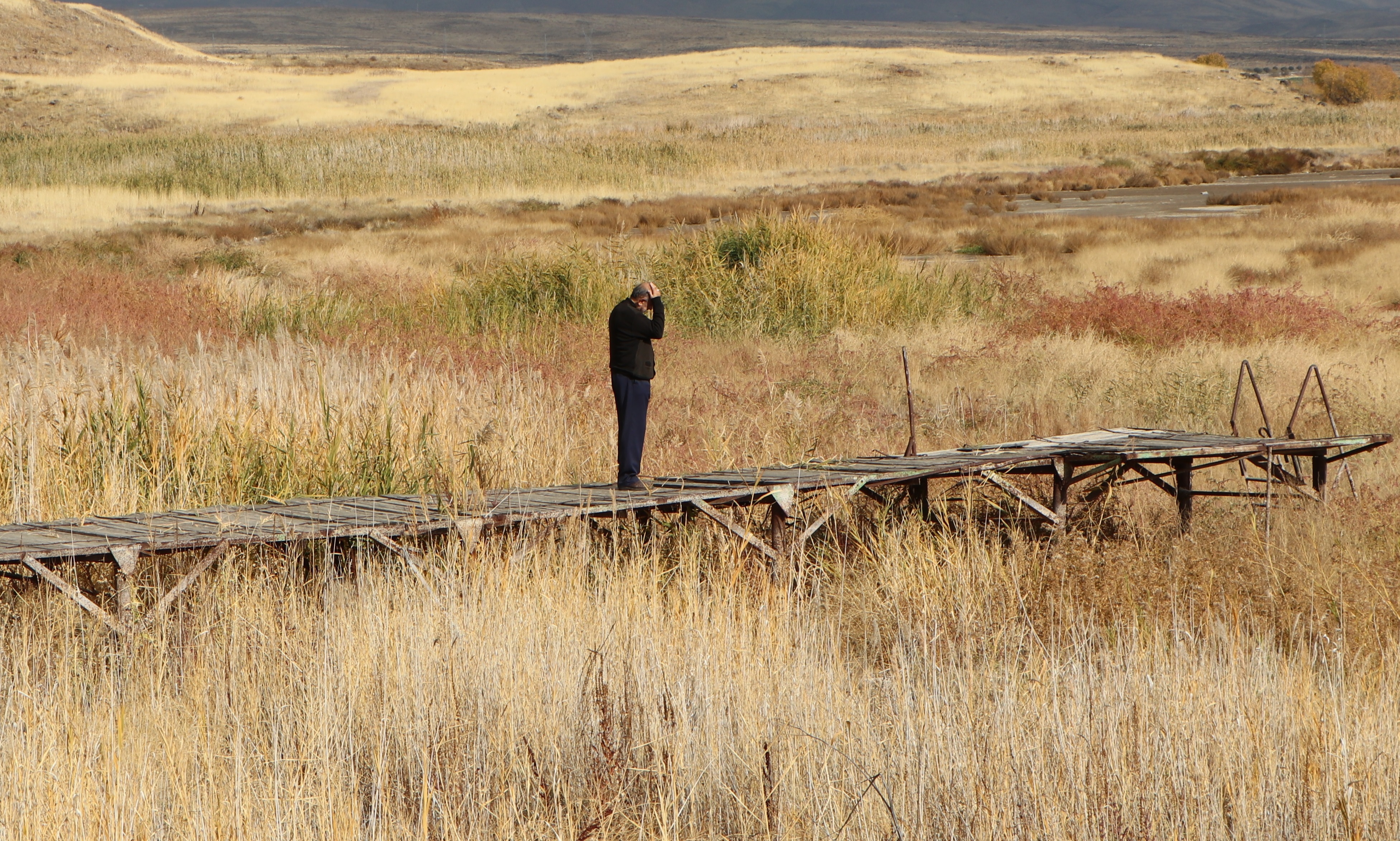 V A N G O L U N D E K I C E K I L M E F O T O G R A F L A R D A V I 994599 295079