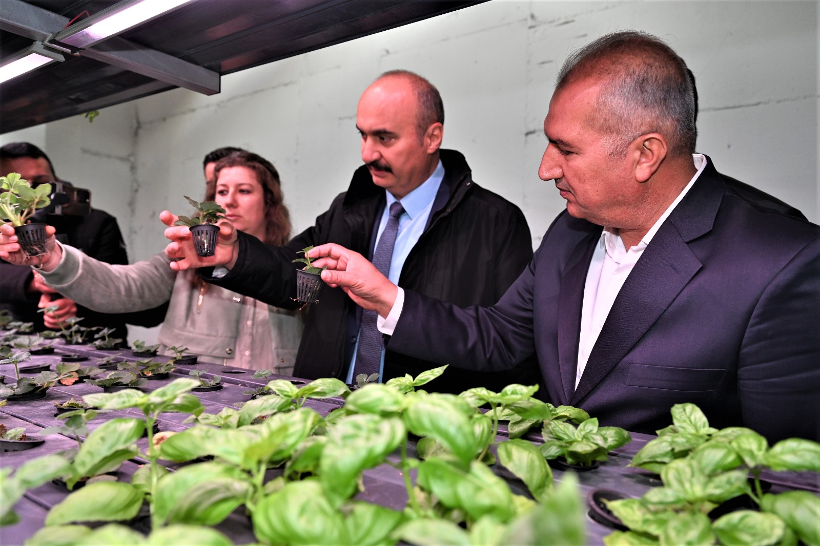 I M G 20251208 W A0008