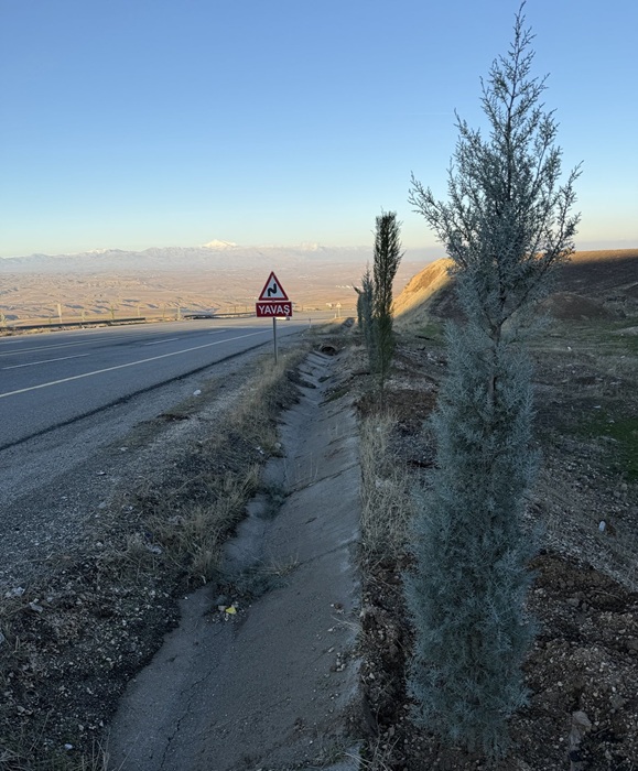 Kiradagi Agaclandirma 1