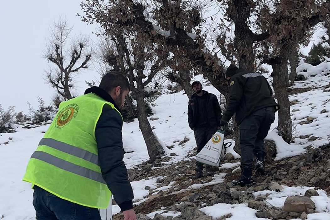 Batmanda Yaban Hayatina Kis Destegi 1