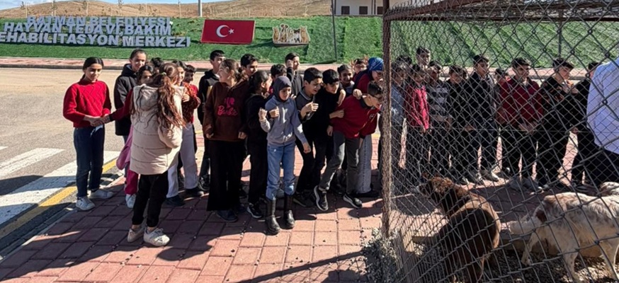 Batmanda Ogrencilere Hayvan Haklari Ve Bakimi Egitimi 1