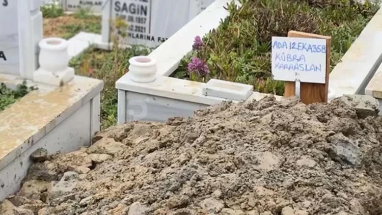 69C3F02A5B06Fcb7Fa324F21