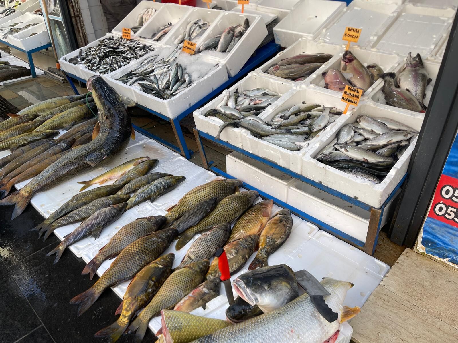 Batman’da Balık Mesaisi Başladı (2)