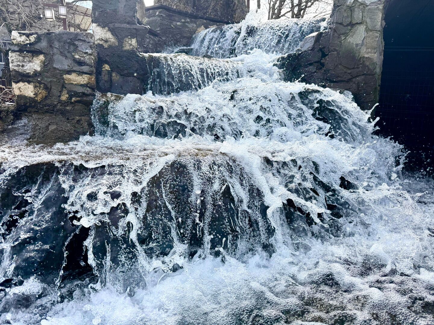 Sevek Baharla Yeniden Canlandı Bu Güzelliği Görmeye Hazır Mısınız (2)