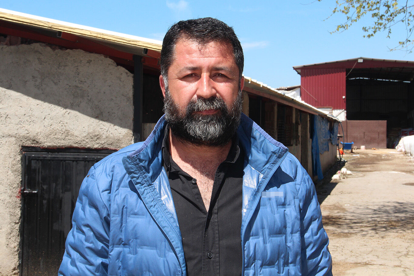 Batman’da Hayvancılık Alarm Mı Veriyor Üreticiler Çözüm Bekliyor (1)