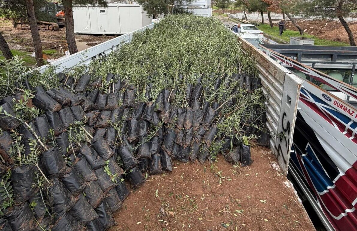 Beşiri’de Büyük Tarım Hamlesi Peki Bu Proje Neleri Değiştirecek (2)