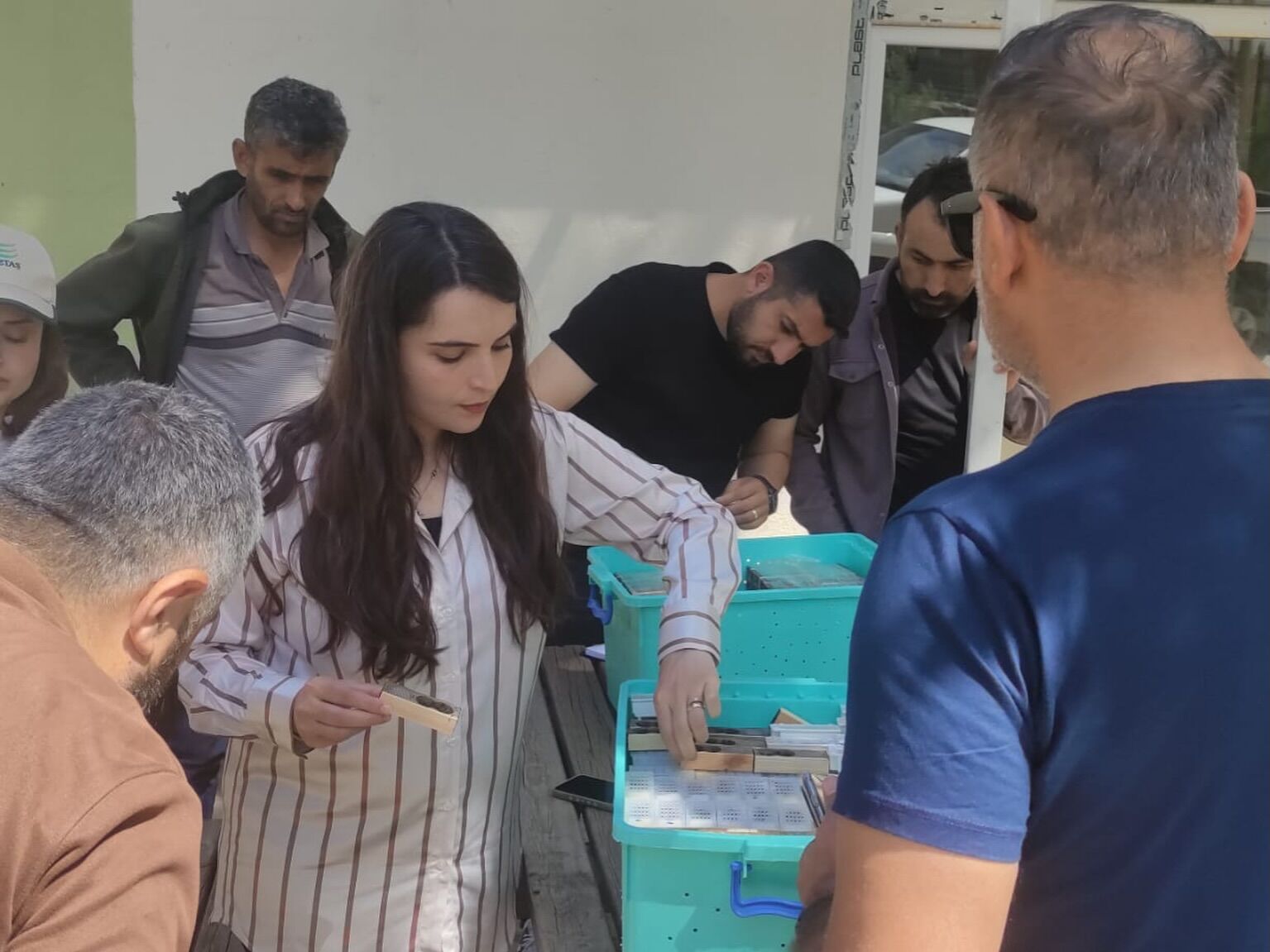 Sason’da Arıcılığa Dev Destek 323 Üreticiye Binlerce Ana Arı Dağıtıldı (1)