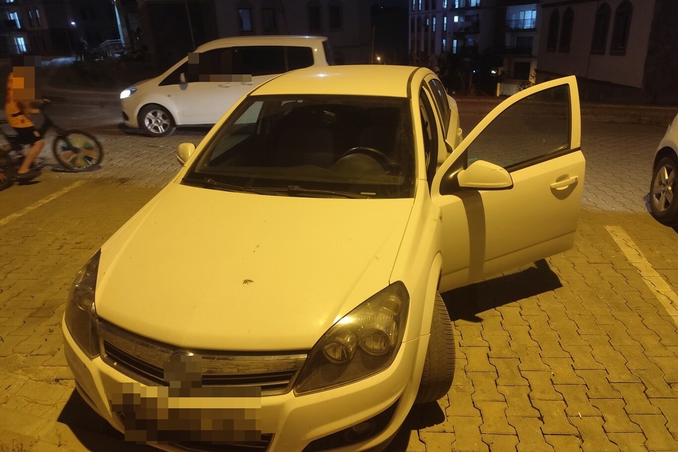 Batman’da Park Halindeki Araca Giren Yılan Paniği (2)