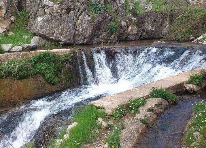 Timok Coğrafyası Basına Tanıtılıyor