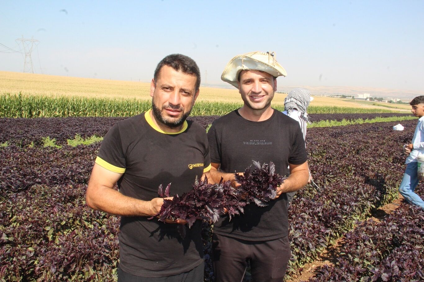 Batman’ın Mor Reyhanı İçin Makine Çağrısı (2)1