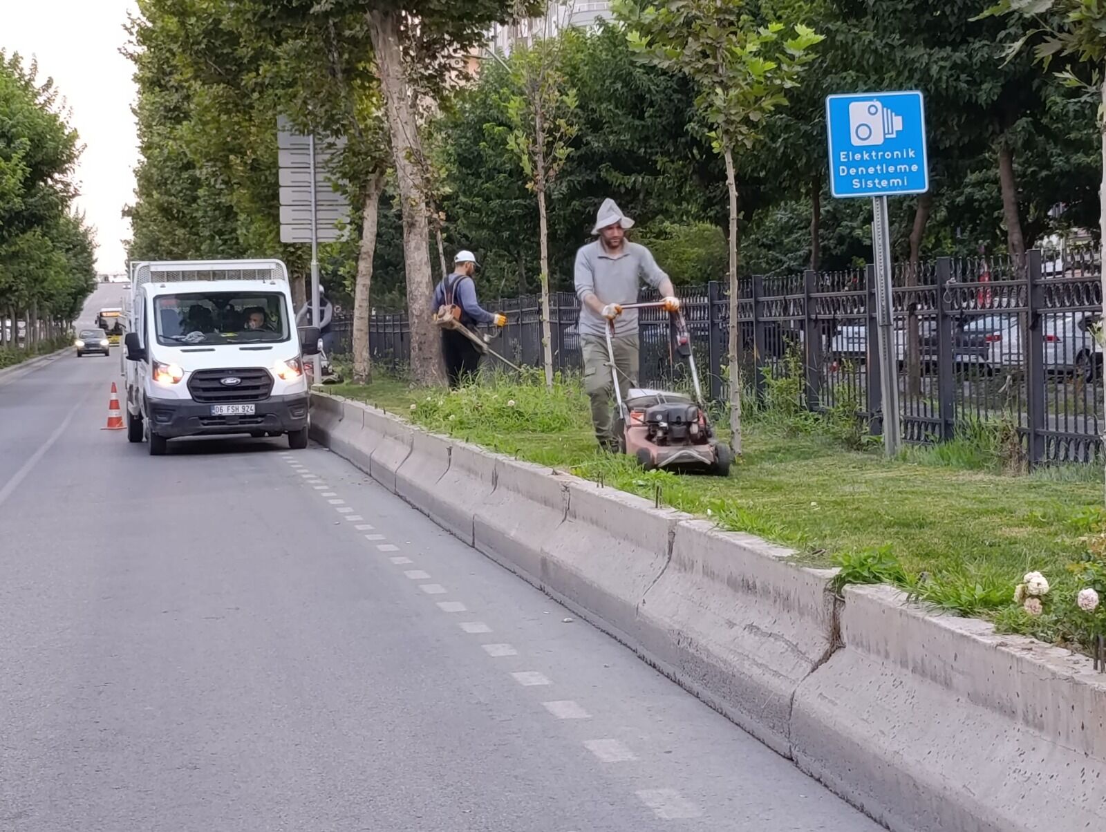Bulvarda Yabani Ot Temizliği