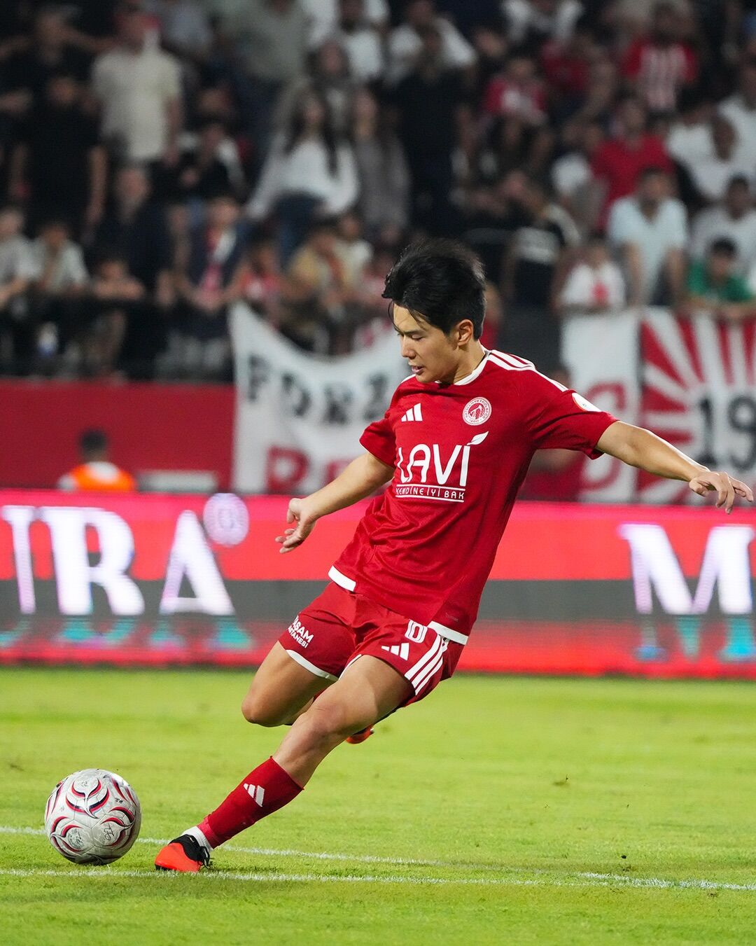 Jin Jo Ho