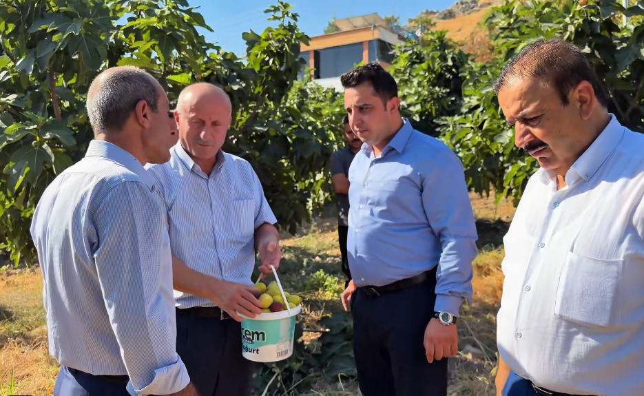 Hasankeyf’in Altın Meyvesinde 360 Tonluk Bereket-1