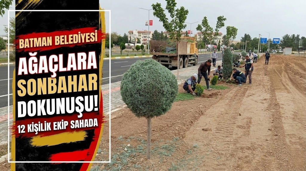 Ağaçlara Sonbahar Dokunuşu! 12 Kişilik Ekip Sahada