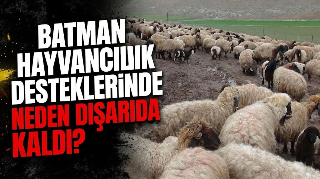 Batman Hayvancılık Desteklerinde Neden Dışarıda Kaldı?
