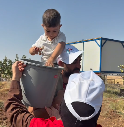 Binatlı’da Fıstık Hasadına Gönüllü Destek-1