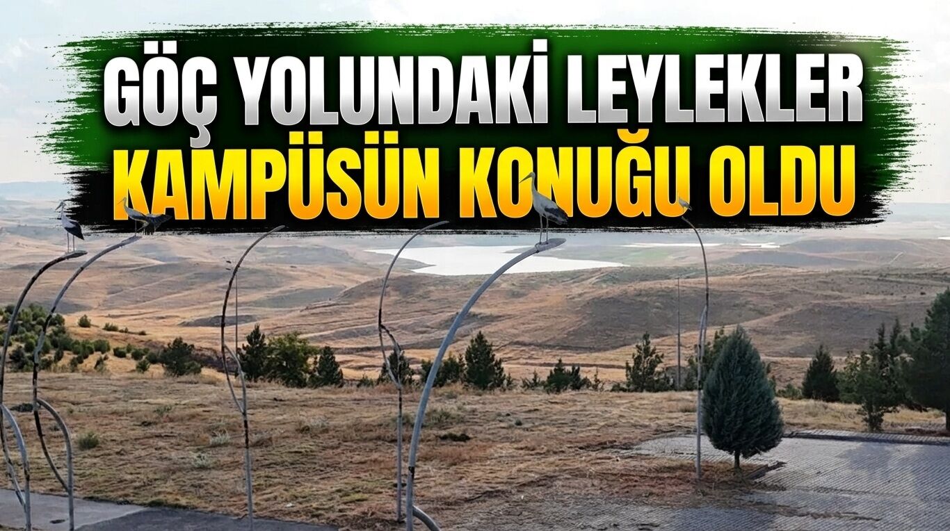 Göç yolundaki leylekler kampüsün konuğu oldu
