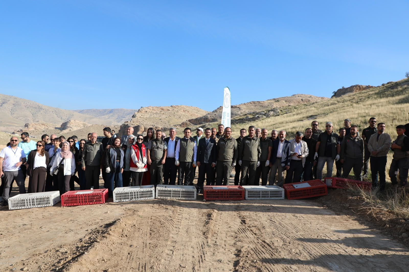 Hasankeyf’te Ceylanlar Ve Kınalı Keklikler Özgürlüğe Bırakıldı (1)