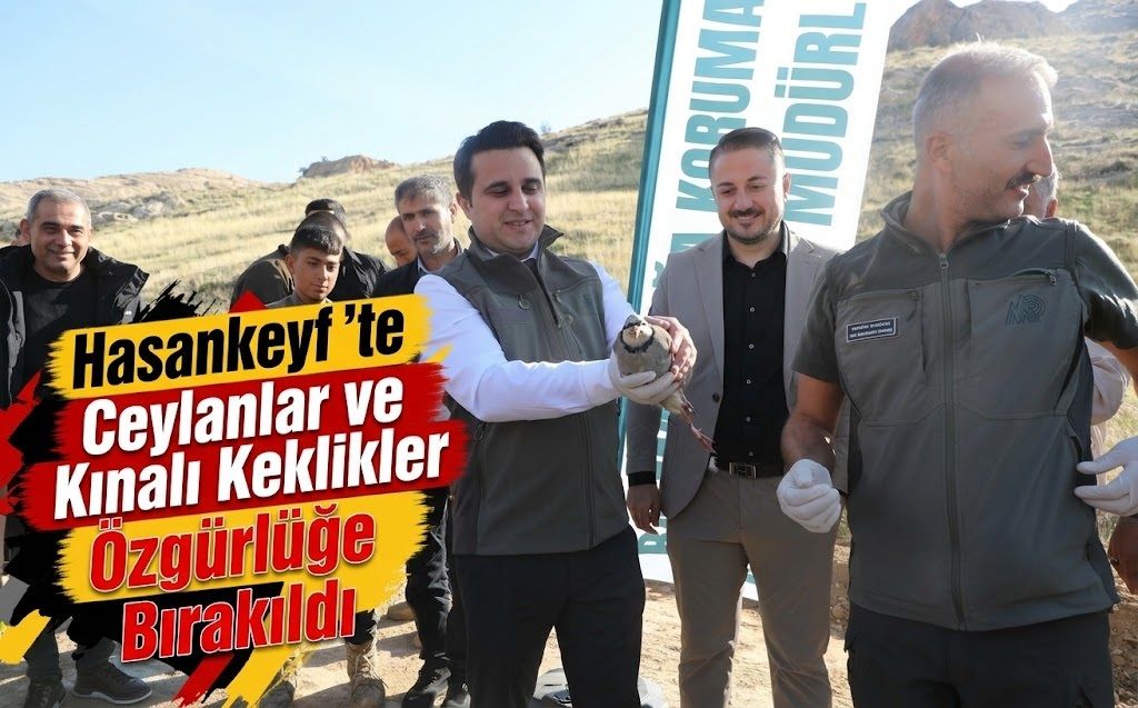 Hasankeyf’te Ceylanlar ve Kınalı Keklikler Özgürlüğe Bırakıldı