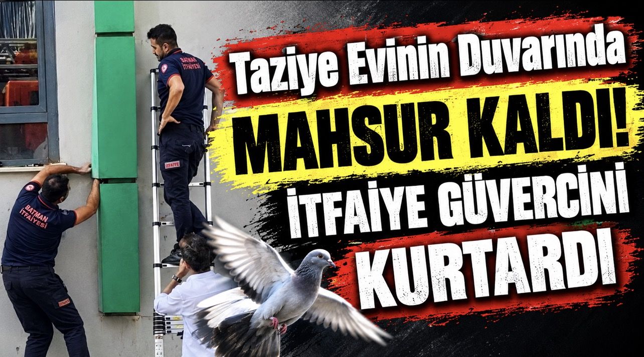 YAŞAM