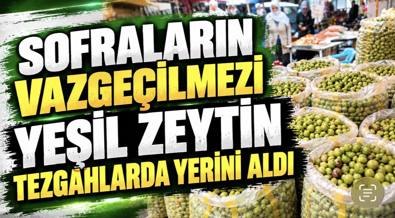 Sofraların Vazgeçilmezi Yeşil Zeytin Tezgâhlarda Yerini Aldı