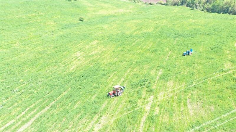 MERA ISLAHI İŞLERİ YAPILACAKTIR