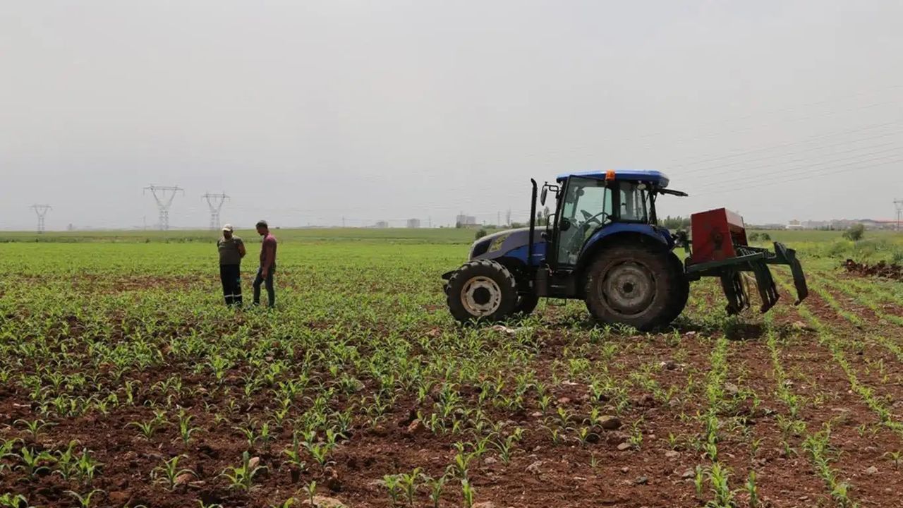 Bakan Yumaklı: ÇKS'li üreticilerimize 707 milyon TL aktarıyoruz