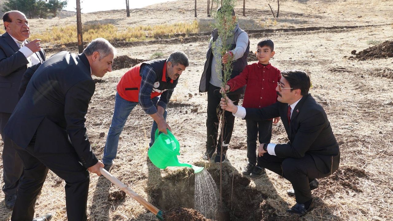 Beşiri’de 102 Fidan Toprakla Buluştu!