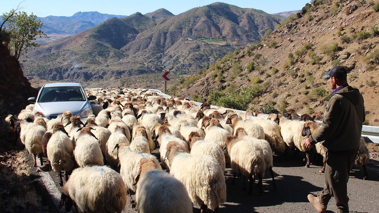 Göçerlerin aylarca süren zorlu göç yolculuğu başladı
