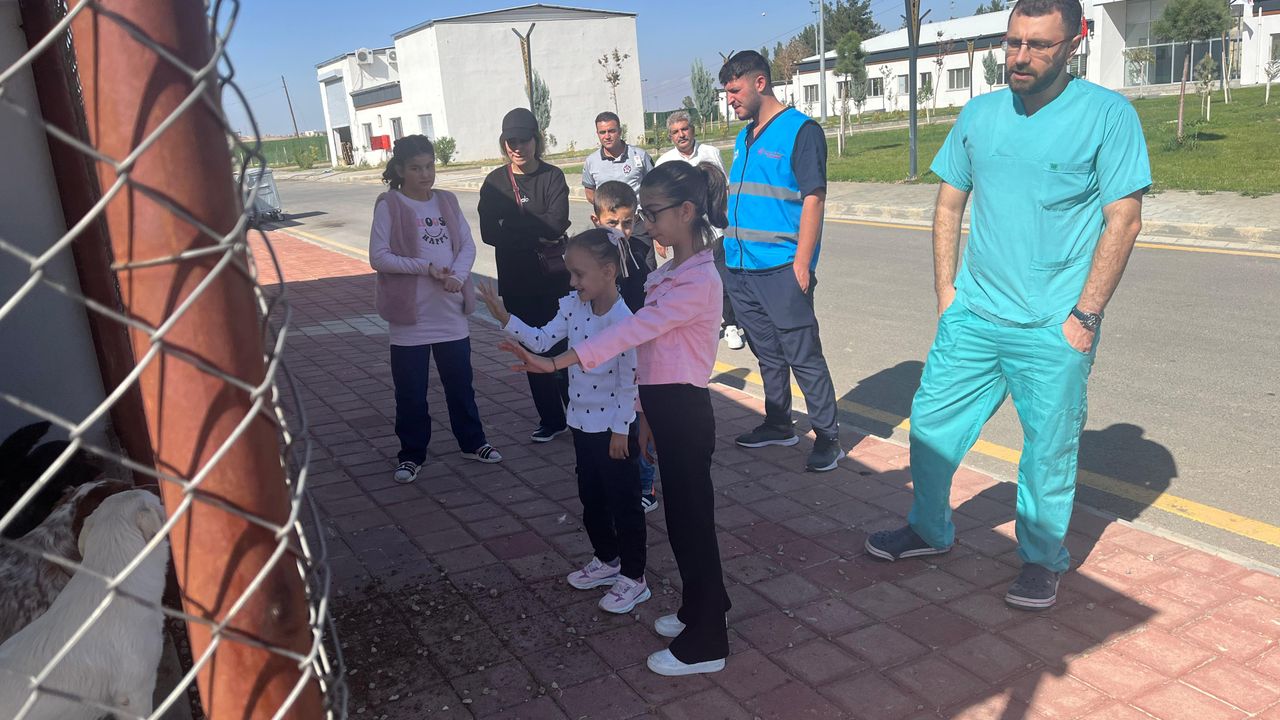 ÖZEL GEREKSİNİMLİ ÇOCUKLARDAN CAN DOSTLARINA ZİYARET
