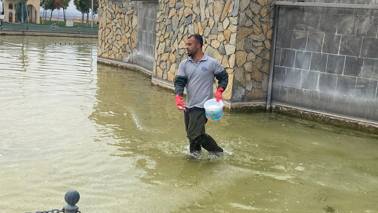 Havuz ve Şelalelerin Bakımı Aralıksız Sürüyor