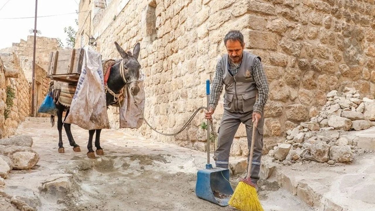 Mardin’de çöp taşıyan kadrolu eşekler emekli edilecek
