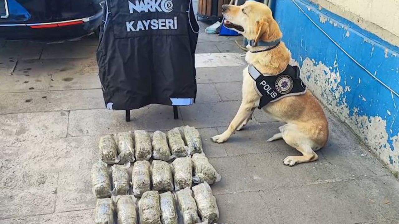 Uyuşturucu operasyonu: 4 gözaltı