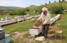 Sason’da Arıcılardan Sezon Umudu: “Bu Yıl Balda Bereket Bekliyoruz”