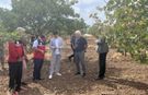 Beşiri Kaymakamı Arslanşahin Köylerde Sahaya İndi