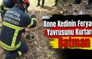 Anne Kedinin Feryadı Yavrusunu Kurtardı
