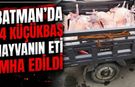 Batman’da 14 küçükbaş hayvanın eti imha edildi