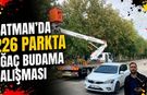 Batman’da 226 Parkta Ağaç Budama Çalışması