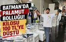 Batman’da Palamut Bolluğu! Kilosu 100 TL’ye Düştü
