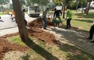 İki Park Baştan Aşağı Yenileniyor