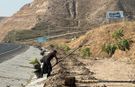 Diktepe Güzergâhı Fidanlarla Buluşuyor