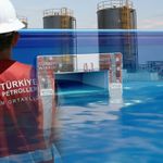 YÜZEYSEL SKİMMER SATIN ALINACAKTIR