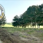 TAŞINMAZ SATILACAKTIR