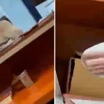 Figan Çetin Kimdir, İzmit Belediyesi Rüşvet Skandalı Görüntüleri Nedir? Para Dolu Zarf Dosyada mı, Kim Gözaltına Alındı?