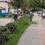 Yeşil Dokuya Estetik Görünüm