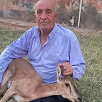 YAŞAM