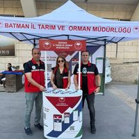 TARIM